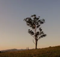 Faulls Ridge Winery - Broome Tourism
