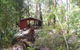 Snottygobble Loop Camp At DEntrecasteaux National Park - thumb 0
