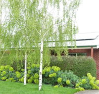 Birralee Cottage - Broome Tourism