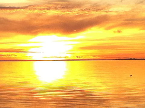 Dalton On The Lake - Broome Tourism 3
