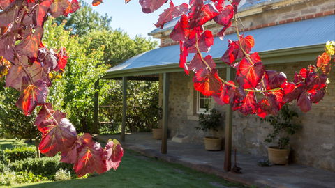 Grand Cru Estate Homestead - Broome Tourism 0