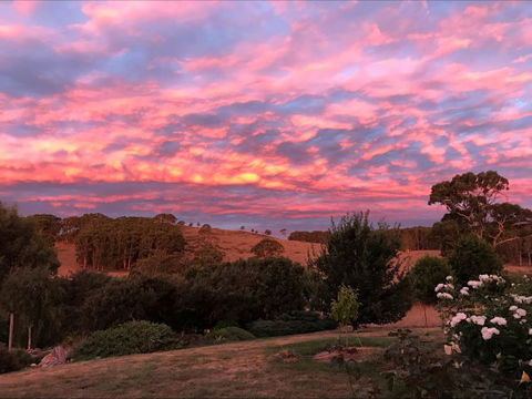 Avaleigh Elms Farmstay - Broome Tourism 5