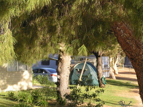 Barmera North Lake Caravan Park - Broome Tourism 0