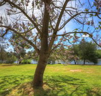 Breakaway Twin Rivers Caravan Park - Broome Tourism