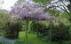 Brookfield Guesthouse - thumb 8