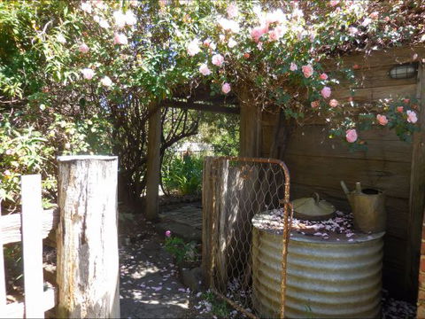 Bunjil Farm - Broome Tourism 7