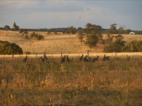 Bunjil Farm - Broome Tourism 8