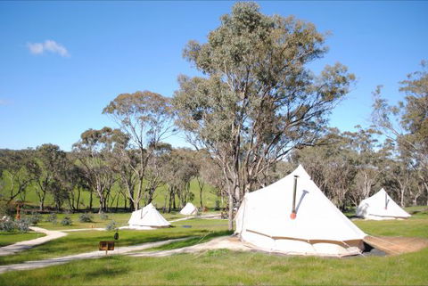 Cosy Tents - Broome Tourism 5