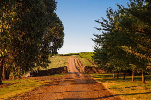 Mt Bellevue Lodge - King Valley - Broome Tourism 3