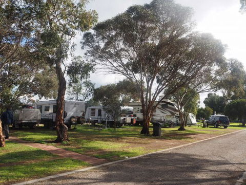 Murray Bridge Marina Camping And Caravan Park - Broome Tourism 4