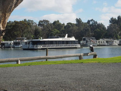Murray Bridge Marina Camping And Caravan Park - Broome Tourism 6
