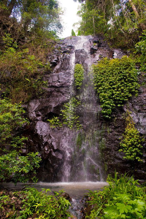 Nimbin Waterfall Retreat - Broome Tourism 0