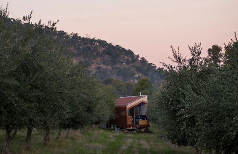 Shacky In The Olive Grove - Broome Tourism 0