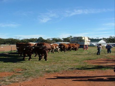 Trundle Showground - Broome Tourism 1