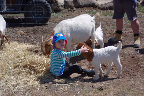 Yalooka Farm - Broome Tourism 3