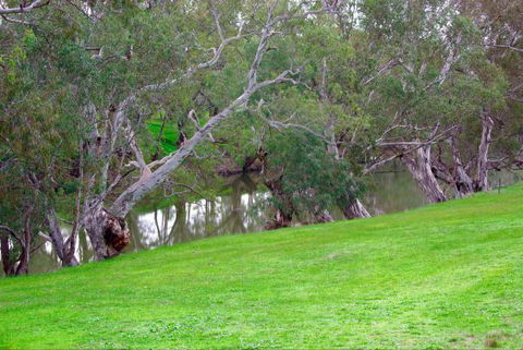Yalooka Farm - Broome Tourism 4