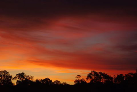 Yalooka Farm - Broome Tourism 5