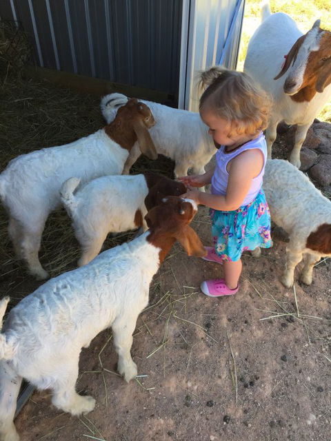 Yalooka Farm - Broome Tourism 7