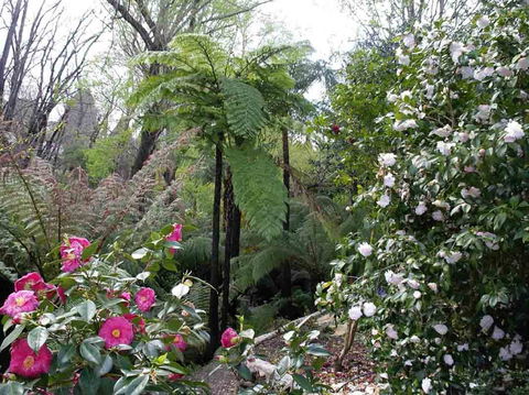 Adelaide Hills B&B Accommodation - Broome Tourism 3