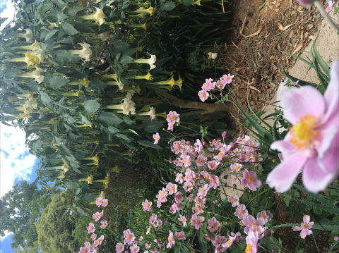 Adelaide Hills B&B Accommodation - Broome Tourism 7
