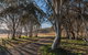 Bullocks Hill Campground - thumb 4
