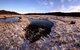 Bullocks Hill Campground - thumb 5