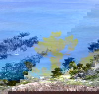 Crayfish Beach Hook Island