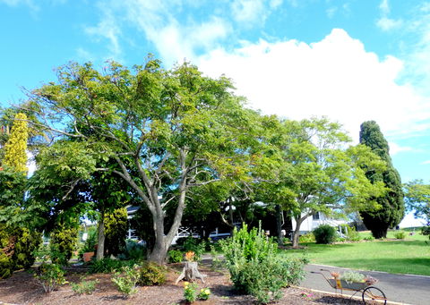 Forest Lodge Highfields - Broome Tourism 3
