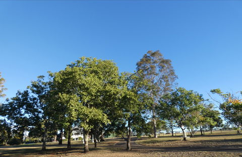 Forest Lodge Highfields - Broome Tourism 6