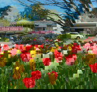 Nesuto Leura Gardens Hotel - Broome Tourism