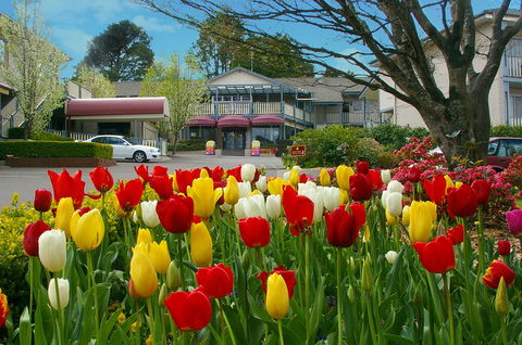 Nesuto Leura Gardens Hotel - Broome Tourism 0