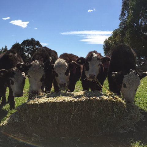 Percy's Place Caravan Park - Broome Tourism 2