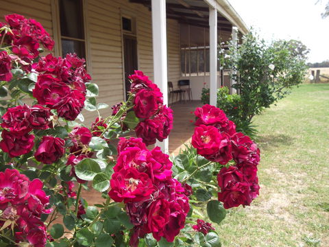 Savernake Farm Stay - Broome Tourism 5