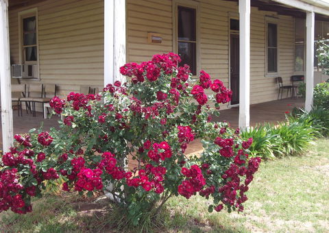Savernake Farm Stay - Broome Tourism 6