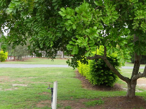 Secura Lifestyle North Gold Coast - Broome Tourism 8