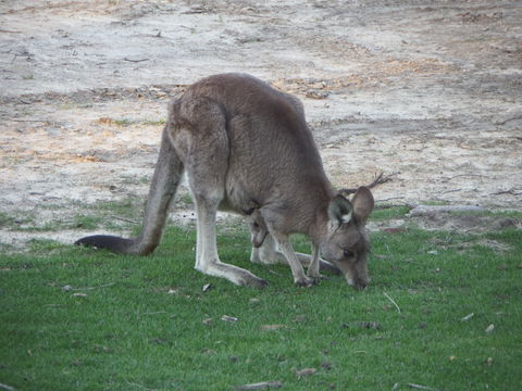 Secret Refuge At Portland Gate - Broome Tourism 1