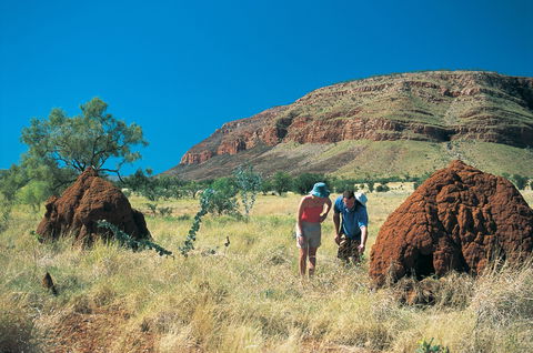 Silent Grove Camp At Wunaamin Miliwundi Ranges Conservation Park - Broome Tourism 3