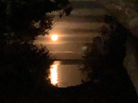 Swan Cove On Raymond Island - Broome Tourism 7