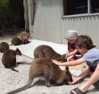 The Patriarch Wildlife Sanctuary Camping Ground - Broome Tourism