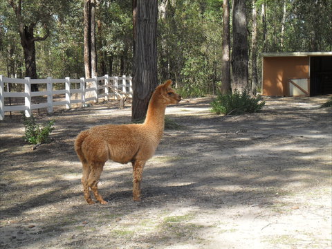 The Malone's Bed And Breakfast Guest Rooms - Broome Tourism 7