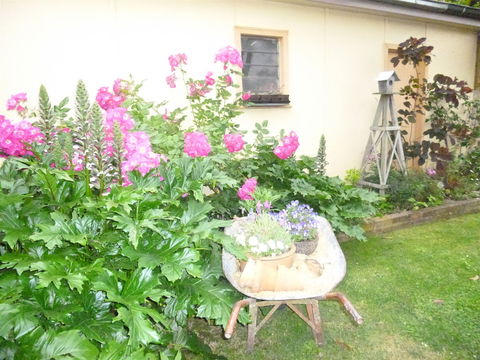 Aggies Bed And Breakfast - Broome Tourism 2