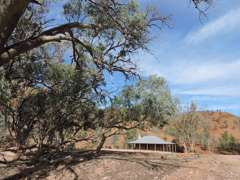 Alpana Station - Broome Tourism 6