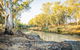 Condamine River Caravan Park - thumb 1