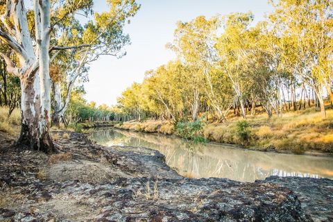 Condamine River Caravan Park - Broome Tourism 1