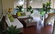 Ellie's Hide-Away At Malua Bay - thumb 1