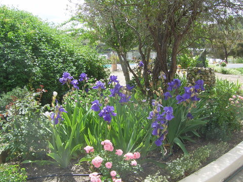 Garden Motor Inn (Golden Chain) - Broome Tourism 7