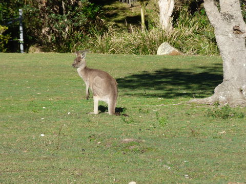 Little Bay Cottage - Broome Tourism 2