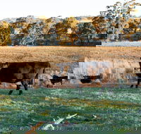 Lone Pine Homestead - Broome Tourism