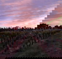 Milawa Vineyard Views - Broome Tourism