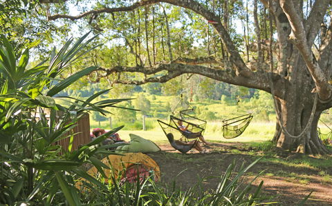 Nimbin Rox YHA - Broome Tourism 0